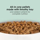 Kaytee Rabbit Food  Timothy Complete Rabbit Food Pellets  4 5 Pounds   Bunny    