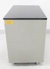 Fisher Mobile Storage Cabinet Double Door 2-shelf Adjustable 23x36   3373947 