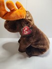 Ty Beanie Buddy Chocolate Moose Plush Brown Orange Antlers Stuffed Animal 12 