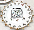 3x Vintage Wyoming Souvenir Travel State Plate Devils Tower Let er Buck Decor
