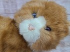 Applause Avanti Baby Animals Plush Orange Tabby Kitten  1025 Stuffed Animal 1985