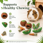 8pcs Guinea Pig Chew Toys  Hamster Toys Prevent Excessive Teeth Growth Natural V