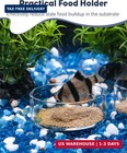 Pawfly 3 Pcs Shrimp Feeding Dish  Clear Glass Aquarium Shrimp Feeder  Transparen