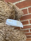 Vtg First   Main Plush Bear Chumley Brown Leather  Feet   Ears W belly Button