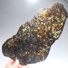 422g Natural Sericho Pallasite Olive Meteorite Slice - From Kenya F542