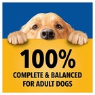Pedigree Choice Cuts Gravy Wet Dog Food Variety Pack  3 5 Oz Pouches  48 Pack 