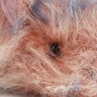 Aurora Guinea Pig Hamster Fuzzy Plush Pink Purple Stuffed Animal Toy 9    Cute
