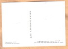Maxi Card Ussr  Russia 1978 Antarctic Fauna Penguins