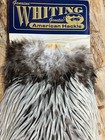 Whiting American Rooster Saddle Silver Badger