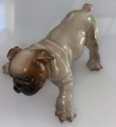 Hagen Renaker Dw English Bulldog Puppy Ceramic Rare Dog  Figure Vtg Mid Century
