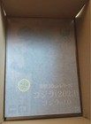 Toho 30 Series Godzilla 2023 Godzilla Shonen Rick Limited Edition