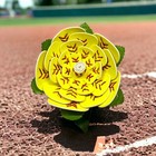 Softball Roses Flowers
