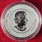 Canada 2011 20 Dollars 0 999 Fine Silver Coin   Commemorative Maple Leaf Km-1062