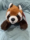 New Fao Swarz Plush Stuffed Animal Brown Black Raccoon With Adoption Papers