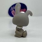 Bunny Rabbit  14 - Littlest Pet Shop - Hasbro Lps