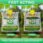10 Pack Outdoor Fly Traps - Disposable  Hanging Outdoor