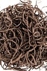 Supermoss  27016  Preserved Spanish Moss  Coffee  3lbs For Floral   Garden