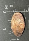 Disneyland Walt Disney World Winnie The Pooh Elongated Pressed Smashed Penny