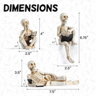 3 Pcs Halloween Skeleton Statues Reading Skull Figurine Gothic Table Decor