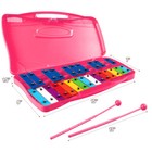 25 Notes Kids Glockenspiel Chromatic Metal Xylophone W  Pink Case And 2 Mallets