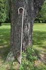 66-69  Amish Wares Handcrafted Red Oak Steam Bent Shepherd Crook Or Hook 