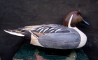 Vintage Pintail Ron Grangier Princess Anne Maryland Chesapeake Bay