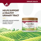 Naturvet Cranberry Relief Dog And Cat Remedy For Urinary Tract Infection 50 Gram