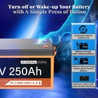 Rv Lifepo4 250ah 12v Marine Lithium Battery 100a Bms 1280w Group 8d Deep Cycle
