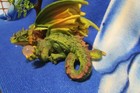 Summit Collection Green Dragon Fantasy Figurine W  Crystal Ball