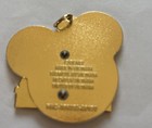 Disneyland Charm 