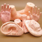 Traditional Human Acupuncture Learning Model Ear Hand Foot Teaching Model Tool