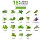 Herb Seeds Variety Pack   18 Essential Culinary Varieties   7000  Heirloom Seeds