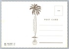 Philippines 1994 Seashell Maxi Card