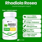 Healthfare Rhodiola Rosea Capsules 1000mg Equivalent   90 Vegan Capsules