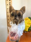 Cracker Barrel Too Cute To Spook Chihuahua Dog Jack O Lantern Halloween 