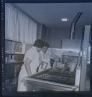 Civil Defense Mass Feeding Training Photo Negative 1957 Ladies Meal Preparation