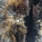 Antique Beaver Fur Cape W  Fur Trim Capelet Jacket Victorian Large Heavy 1800s