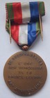 France Wwi  French Veteran Poilu Soldier Ww1 60th Anniversary Military Medal