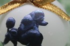 D557 Hand-made Christmas Ornament Dog - Poodle - Black Show Cut Walking  gold 