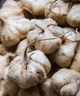 Jicama Seeds  True  Mexican Yam Bean  Non-gmo  Mexican Heirloom  Free Shipping