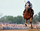 Secretariat 8x10 Photos   Kentucky Derby Horse Racing  Turcotte   Lot Of  2 