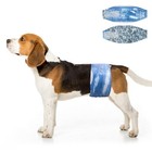 Disposable Male Dog Diapers - Super Absorbent Belly Bands For Incontinence  48ct