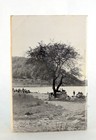 Robert Moses 1938 New York State Parks Brochure Paperback