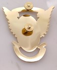 Chp Pin