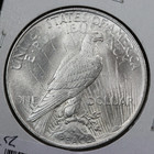 1924 P Peace Silver Dollar Vf au Condition