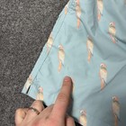 American Eagle Outfitters Shorts Mens Medium Blue Parrot Swim Trunks Mesh Lined