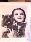 Mgm The Wizard Of Oz judy Garland Lot Of Five 14 X 11 Movie promo Stills Vintage