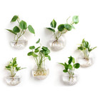 Wall Hanging Glass Planter Oblate Flower Vase For Hydroponics Plants And Living 