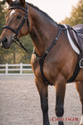 Horse English Leather Riding Tack Fancy Raised Stitching Breastplate 803931bkc