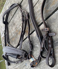 Padded  English Dressage Style Bridle W crank Noseband Havana Brown Full Horse